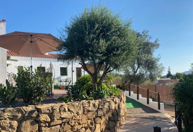 La Casa Palmera - Caminito Del Rey Pizarra Eksteriør billede